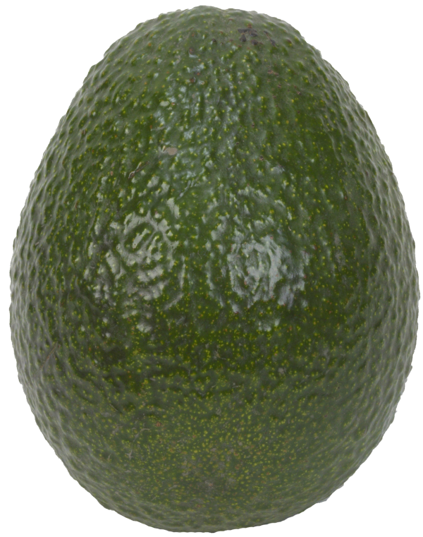 hass avocado