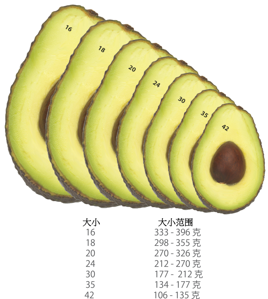 Avocado Sizes China_OL