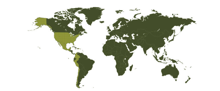 Avocado Imports Into The U.S. 