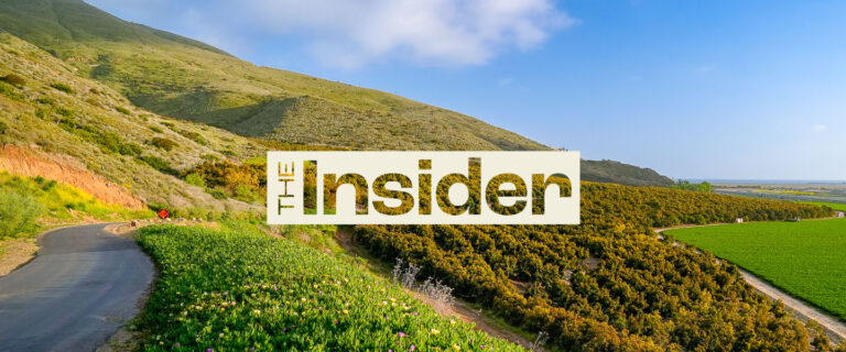 The Insider | Summer 2025 