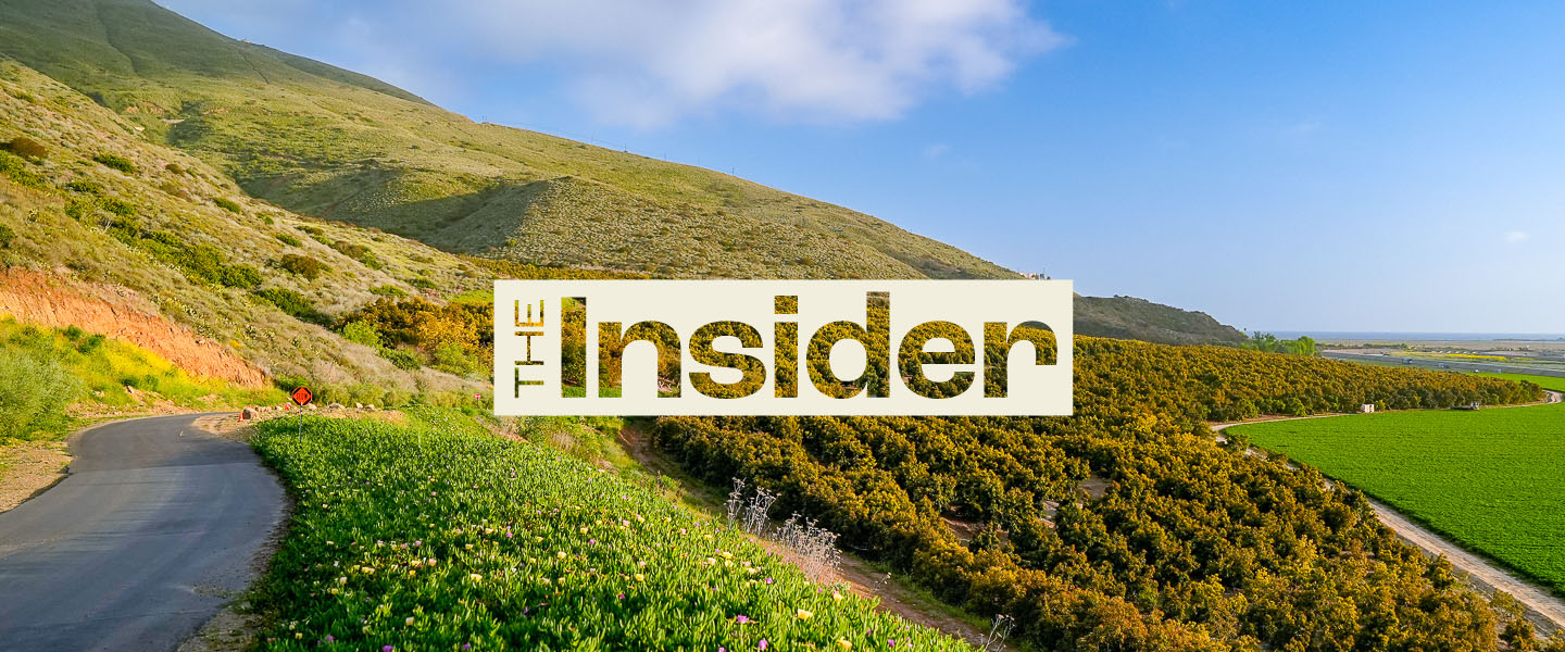 Avocado orchard in the background with 'The Insider' written in an off-white square.