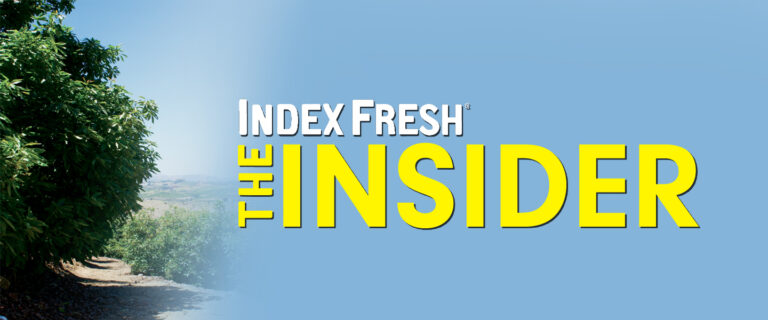 The Insider | Spring 2025 