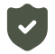 Financial Security icon