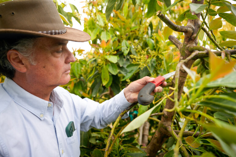 Gather & Grow 2025 Fall In-Field Event: Somis