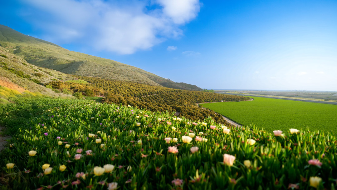 Gather & Grow 2026: Season Kickoff Meeting – North & Far North Region