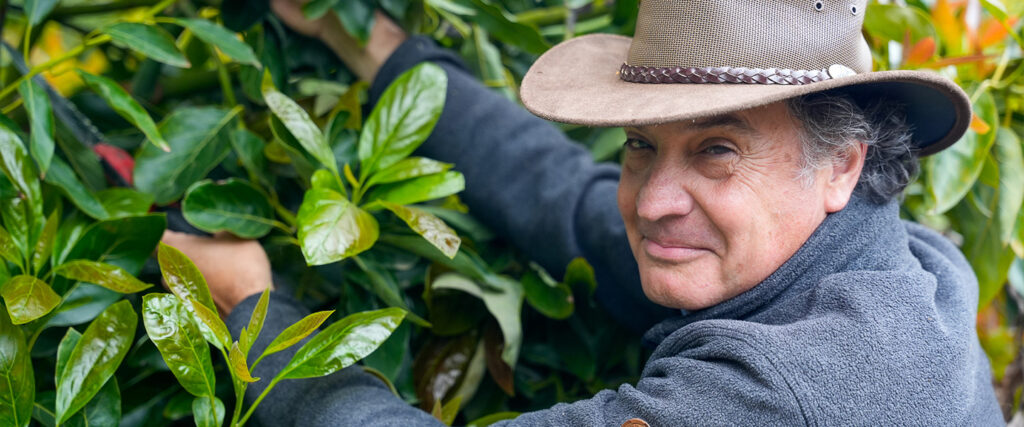 Ask The Agronomist: Winter Insights