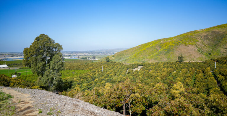 Gather & Grow: Spring 2026 In-Field Event, Temecula