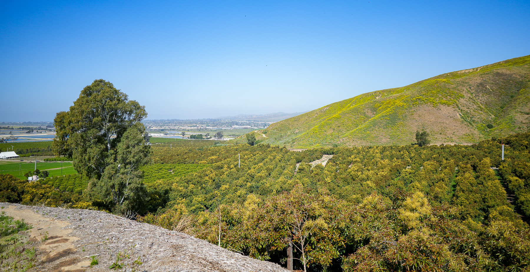 Gather & Grow: Spring 2026 In-Field Event, Goleta