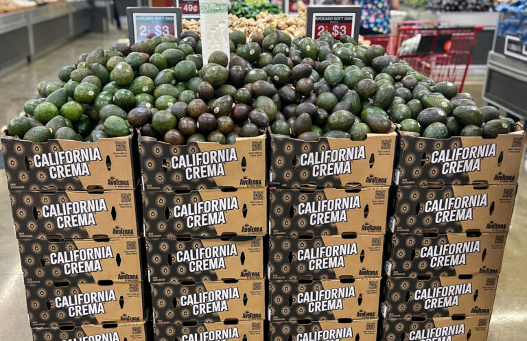 California Crema GEM Campaign Enters Second Season